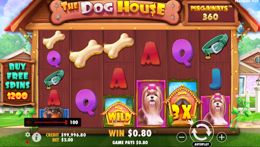 Выигрыш в слоте Dog House